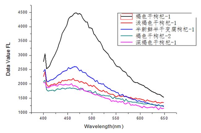 不同情况下干枸杞的荧光光谱.jpg