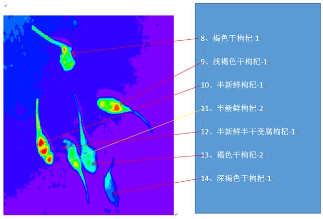 高光谱荧光下的干枸杞.jpg